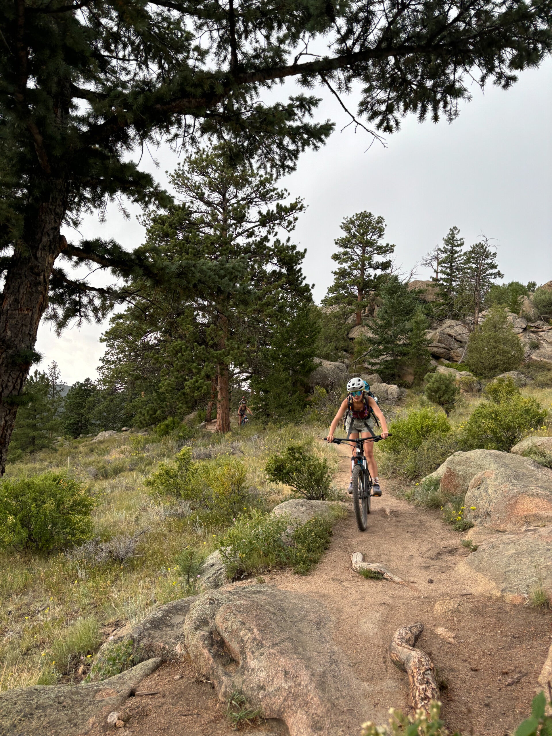 Cheley Colorado Camps