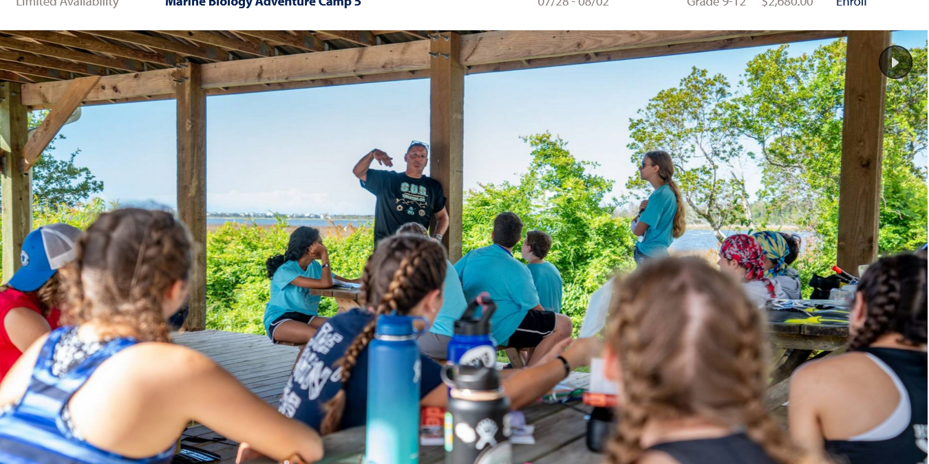 Sea Turtle Camp