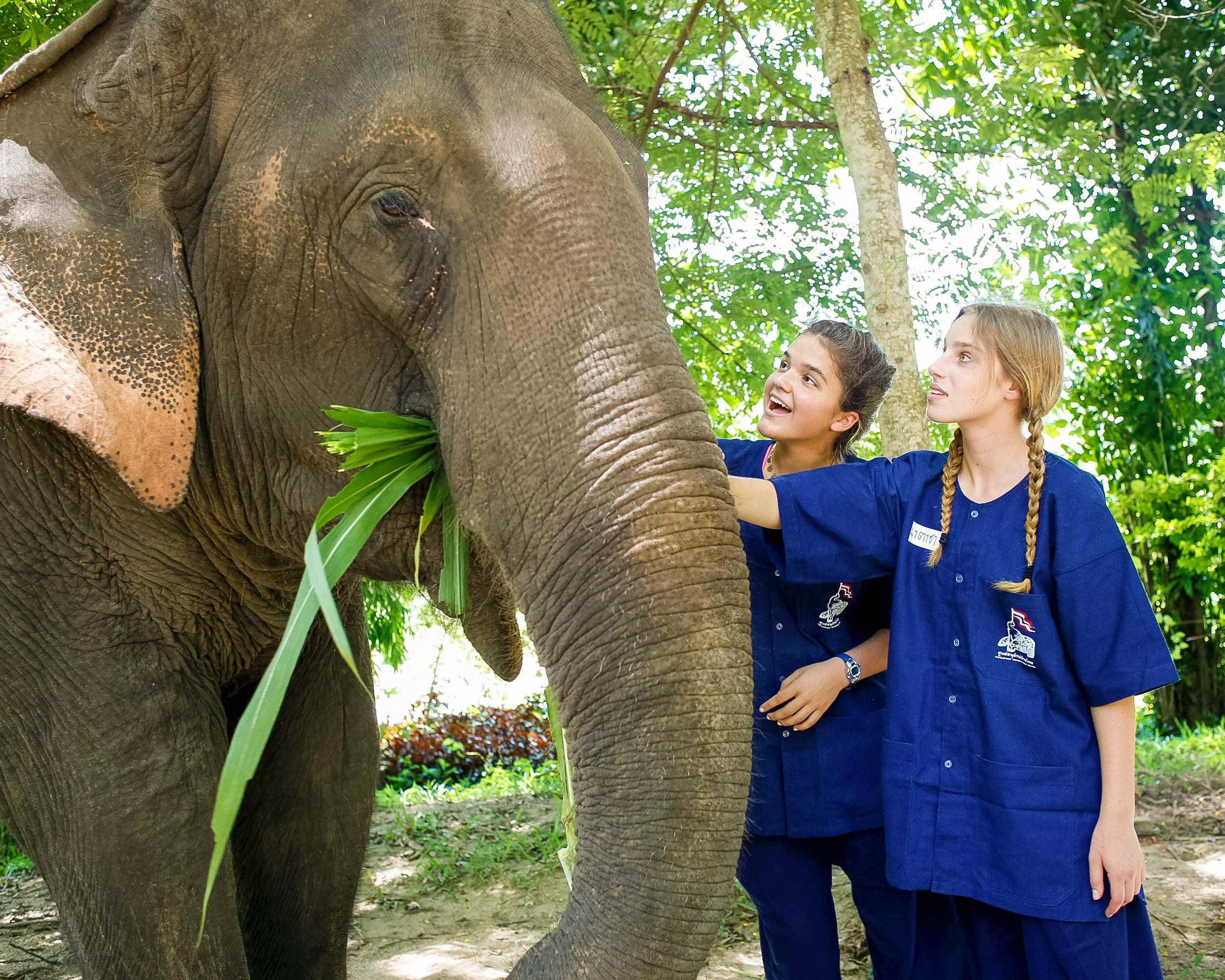 Rustic Pathways – Teen Summer Camps & Programs