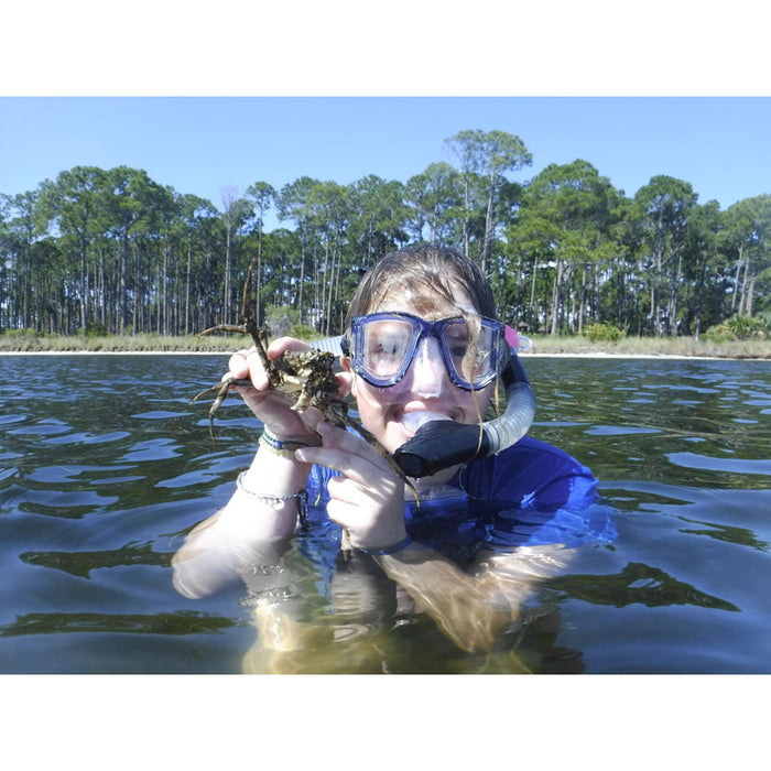 Marine Biology Camps & High School Summer Programs